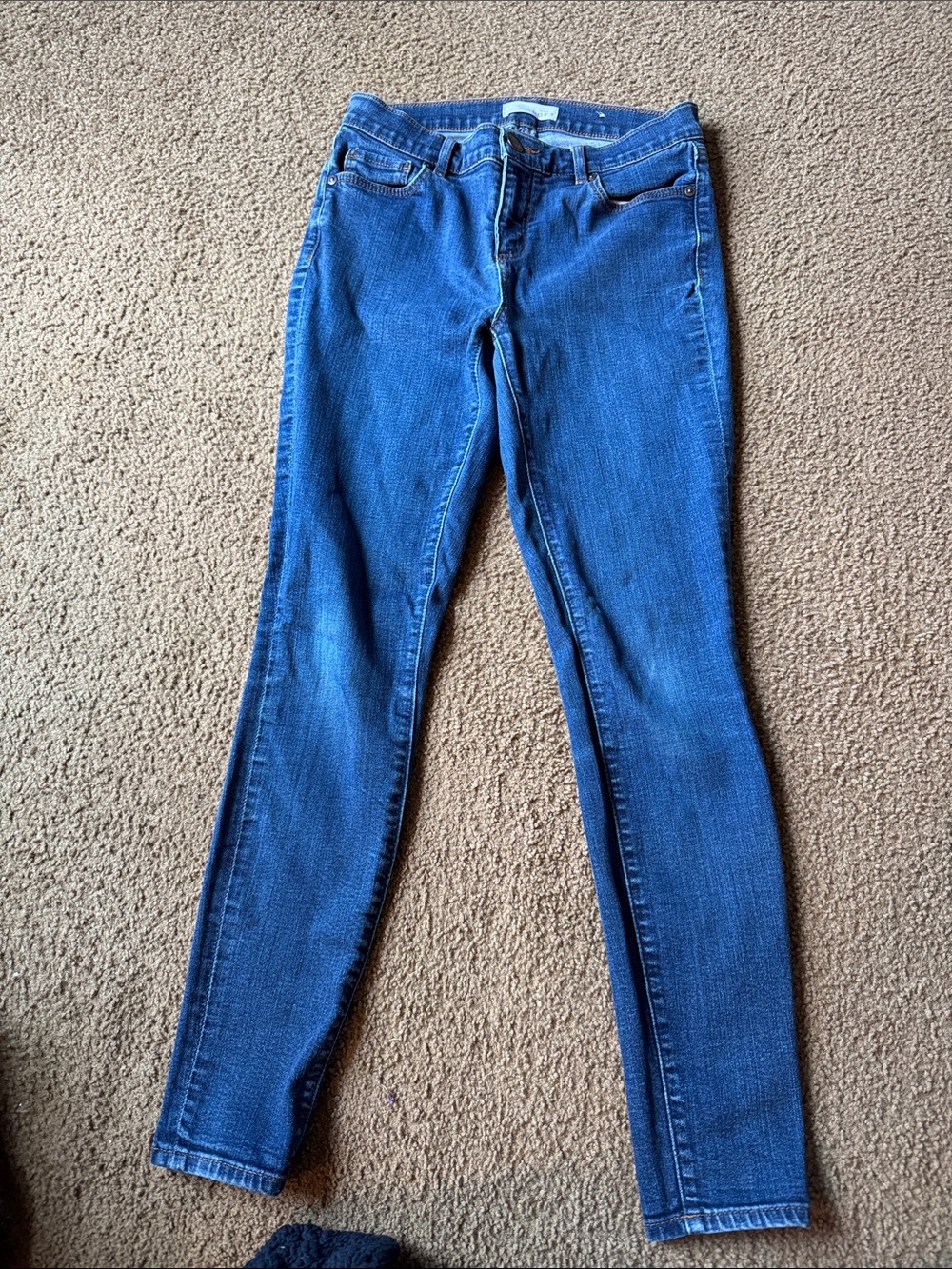 LOFT Blue Women's Skinny Jeans